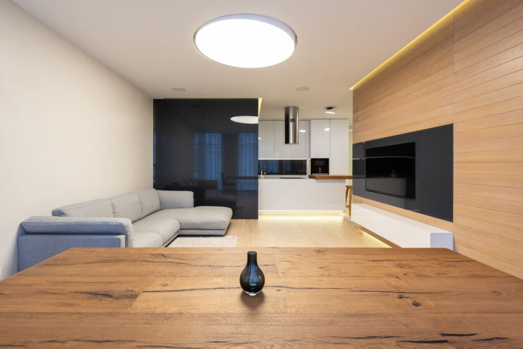 Interior design of studio flat with sofa and TV set and sofa in living zone and modern kitchen corner